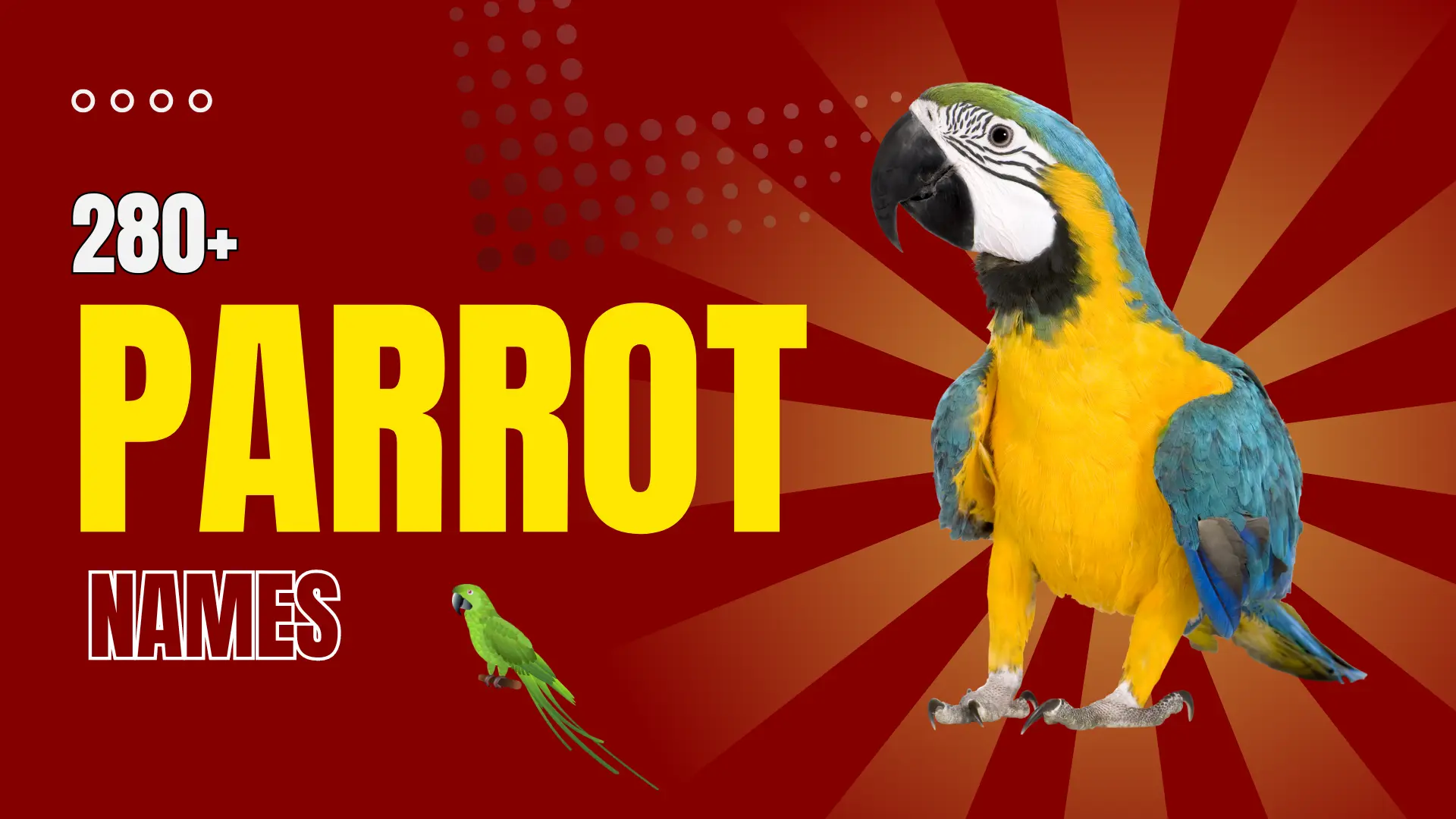 Parrot Names