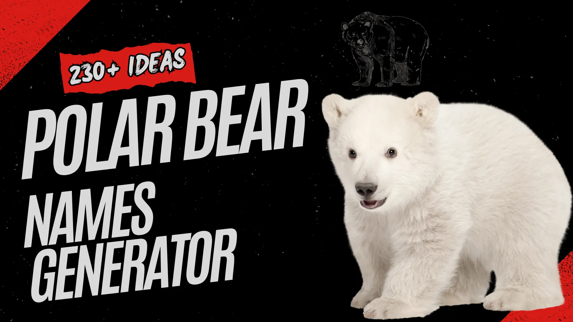 Polar Bear Names Generator