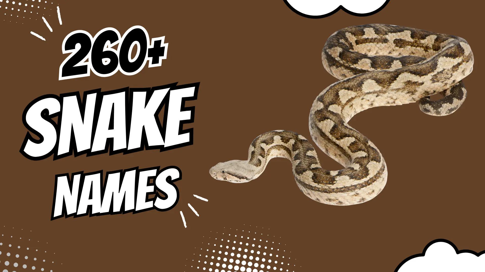 Snake Names