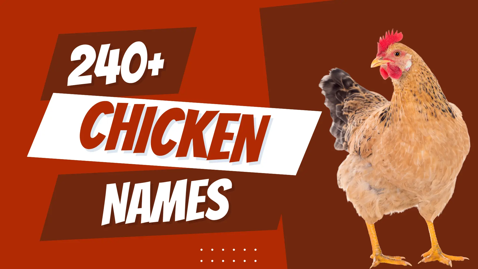 Chicken Names