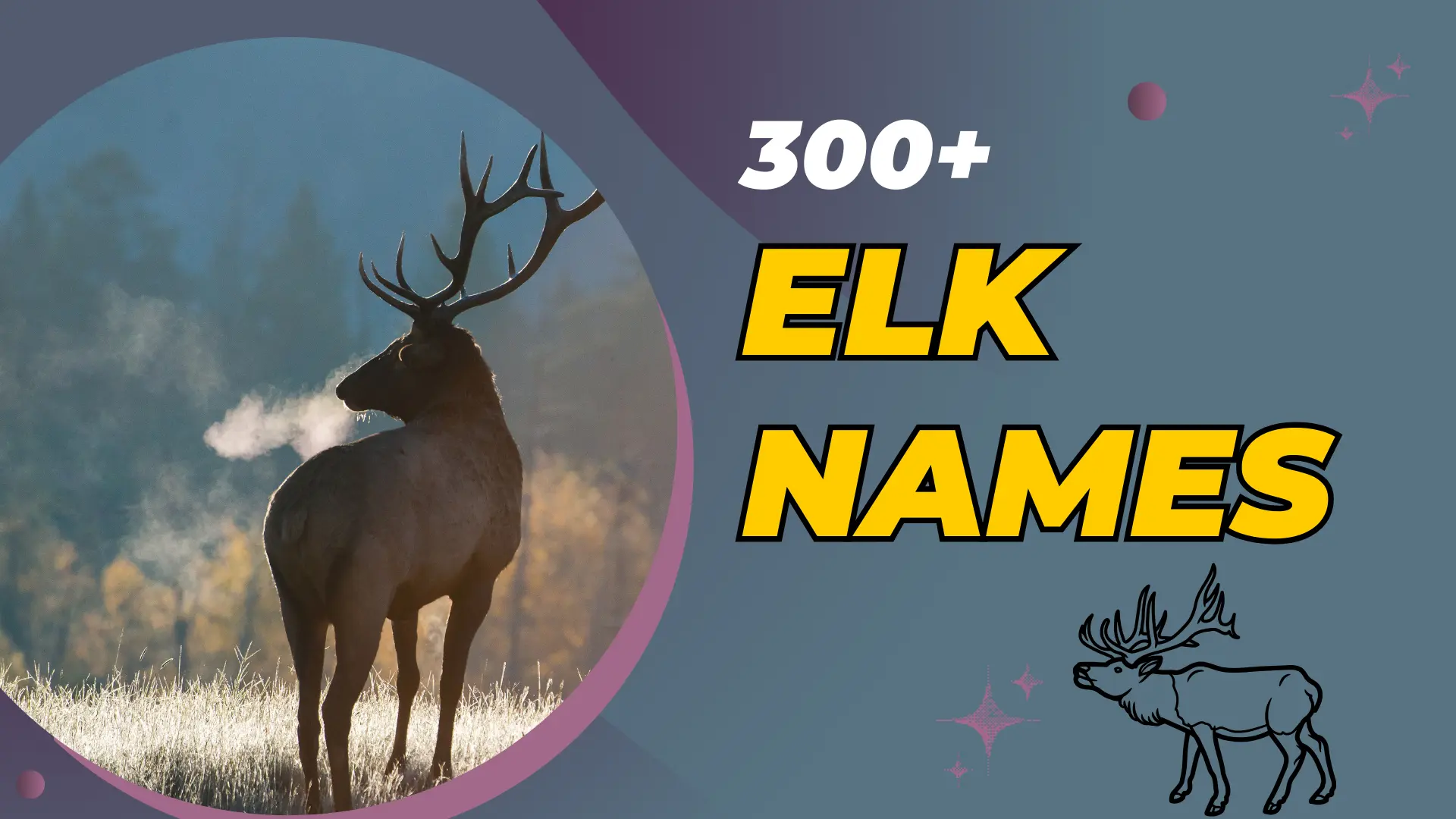 Elk Names