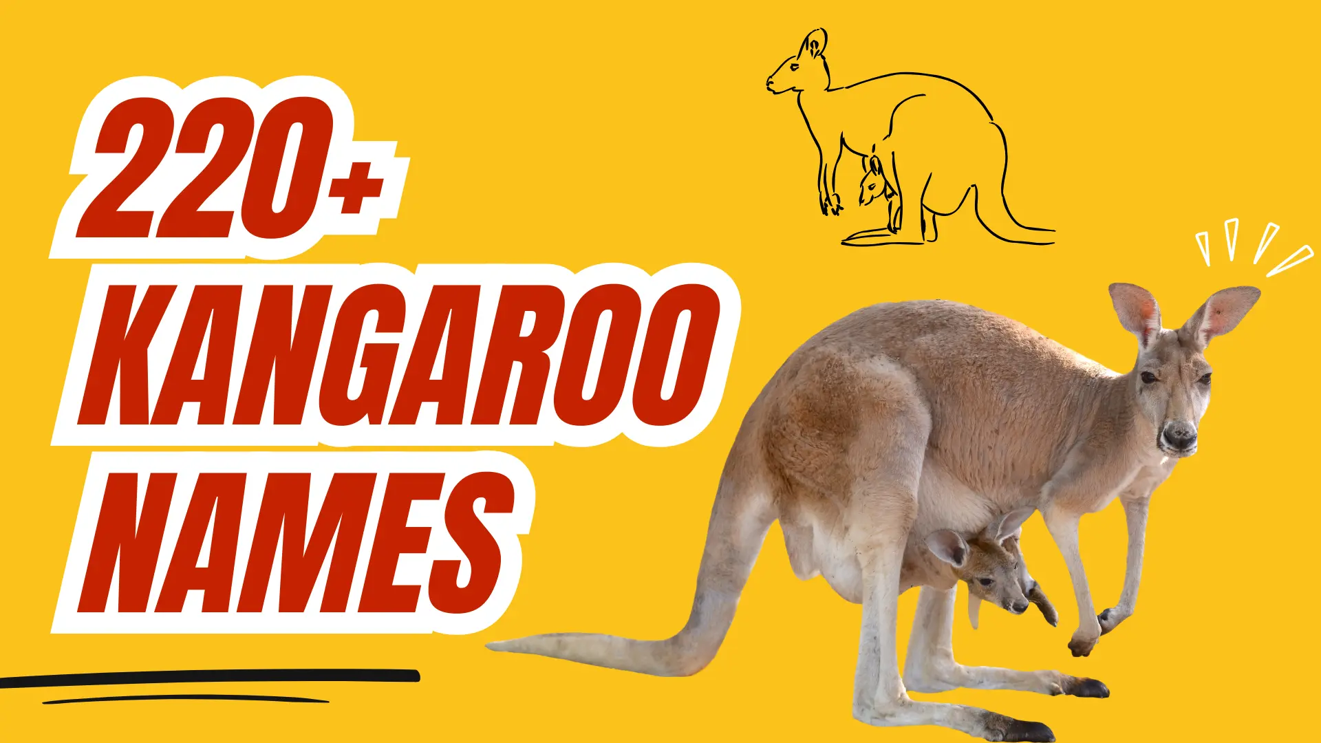 Kangaroo Names