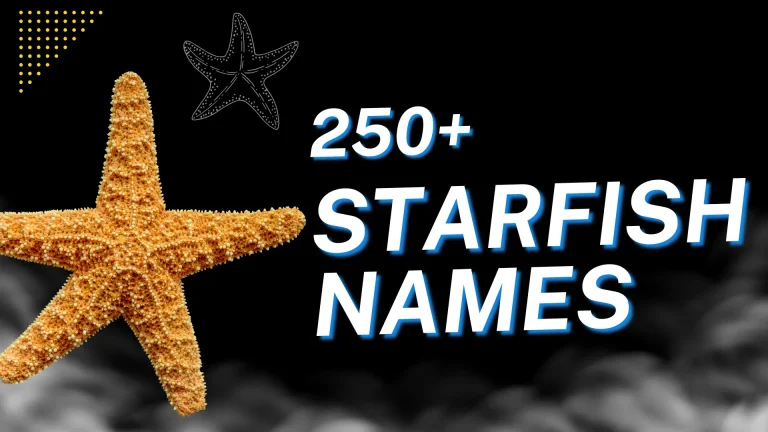 Starfish Names