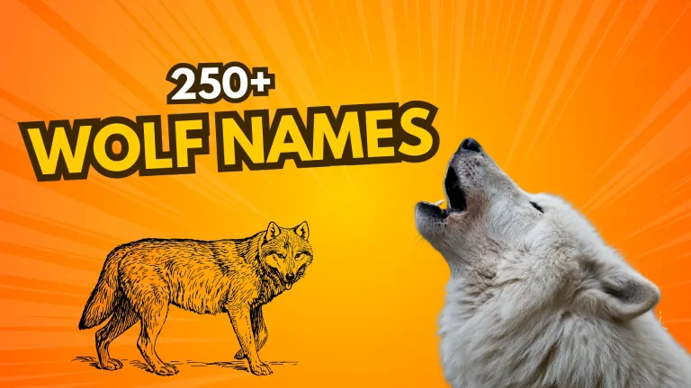 Wolf Names