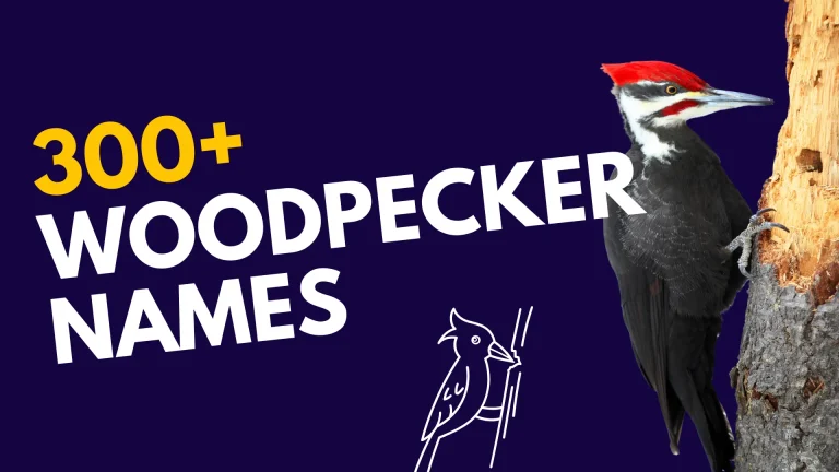 Woodpecker Names