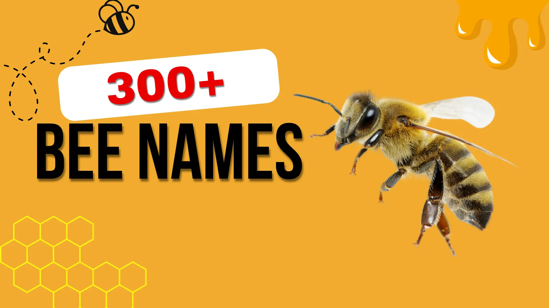 Bee Names