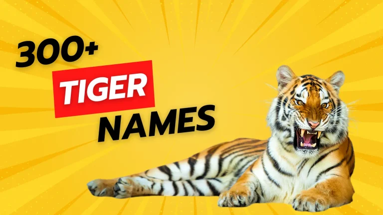 Tiger Names
